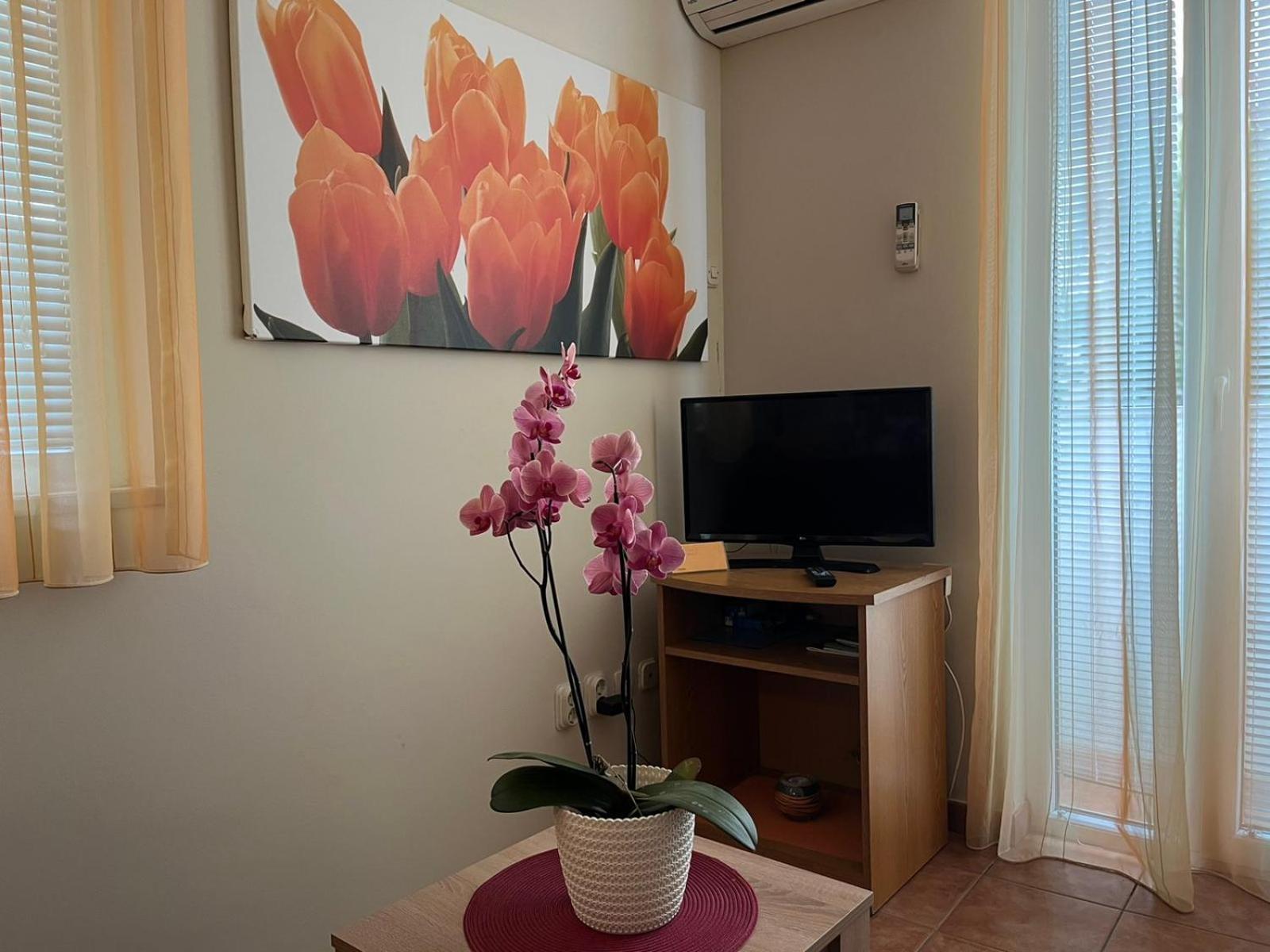 Apartma Family Suzi